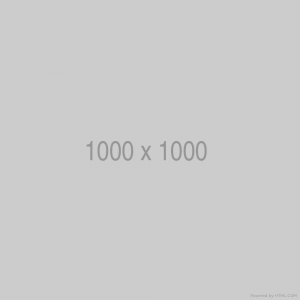 Bike 10